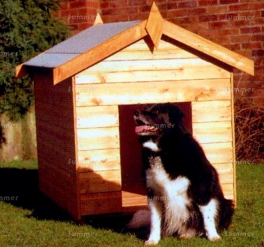 Dog Kennel 142 - Fast Delivery, Shiplap Walls Dog Kennel 142 - Fast Delivery, Shiplap Walls